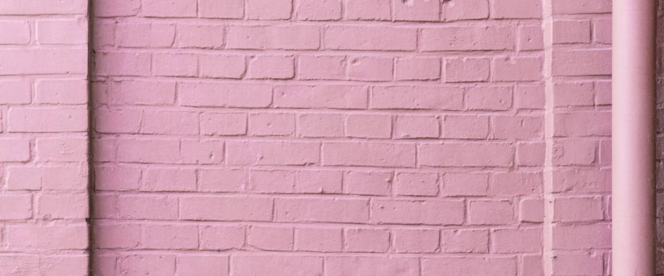 Pink Brick Wall - Denise Goosby Blog