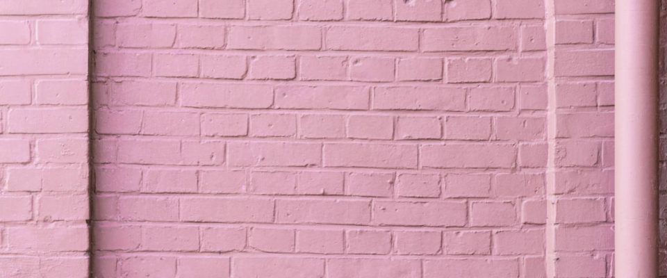 Pink Brick Wall - Denise Goosby Blog