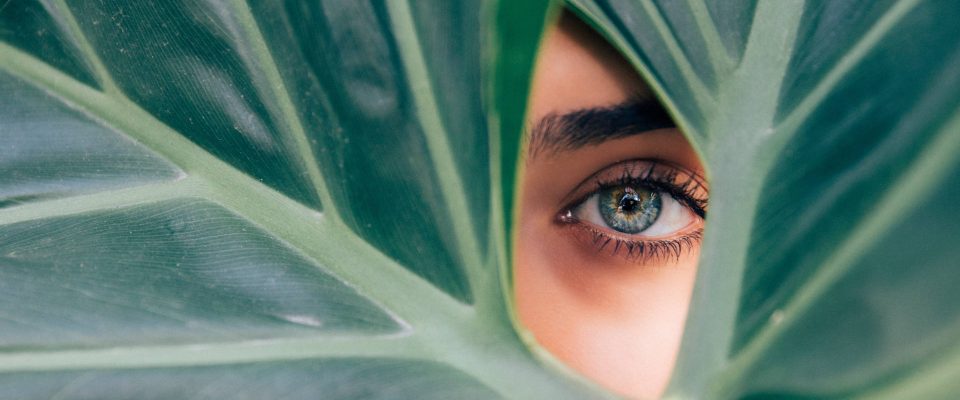 Everyone wants to be loved