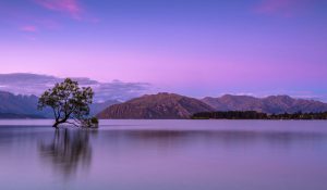 Purple Mountains and Lake