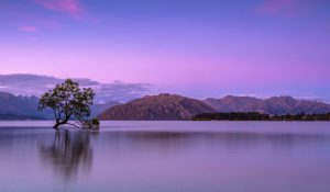 Purple Mountains and Lake